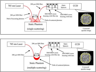 Experimental characterization of diffuse speckle pulsatile flowmetry system